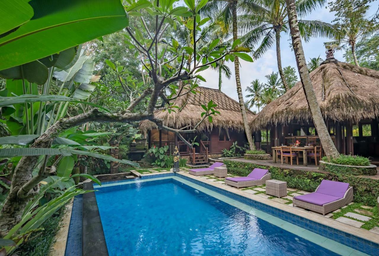 Villa Bali Village Ubud  Ngoại thất bức ảnh